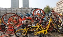 共享单车，利or弊？