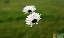 成功的秘诀在于坚持