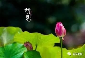 初夏的温暖