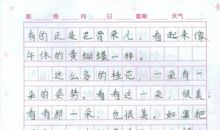 三年级下册荷花第二段仿写