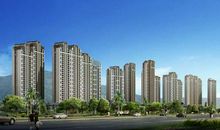 都市中的世外桃园