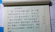 有一种色彩属于我作文600字
