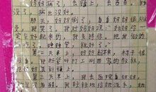 荷叶姐姐的伞作文300字
