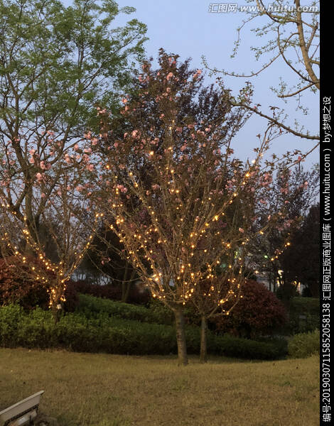 我活着的色彩缤纷的风景