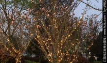 我生活的多彩风景