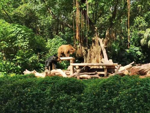 这里可以很漂亮。