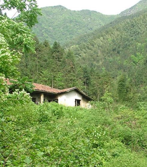 山的生活