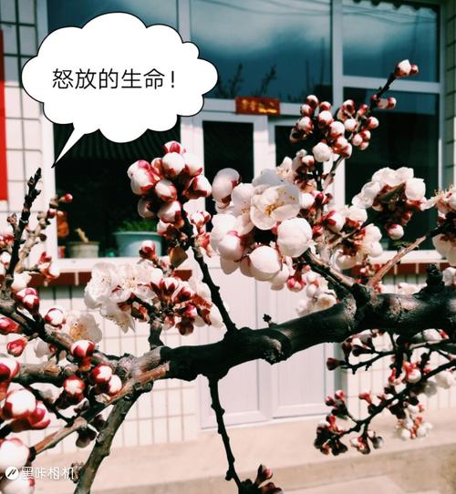 生活休闲