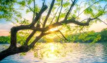 微信上亦可叙亲情