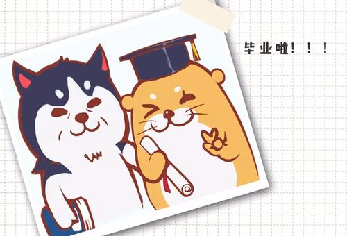 我独自在家。