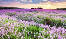 家乡的雨，滋润了我的心田