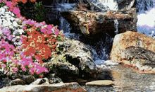 大自然中的哭声