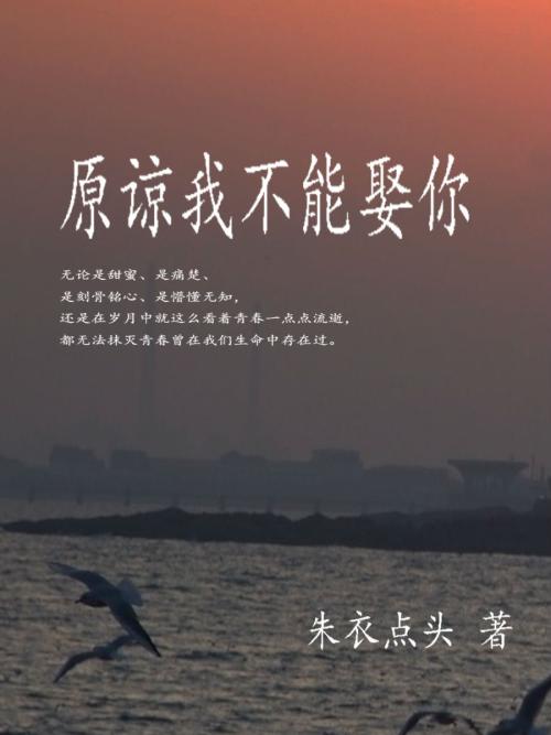 母亲原谅我的年轻人