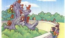 热心的小猴子看图写话