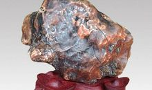 没想到真没想到作文600字