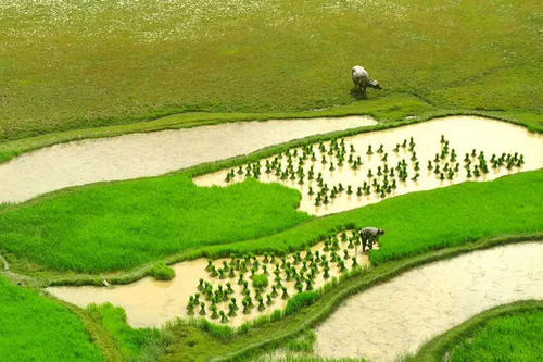 每个人都在每个人的心脏