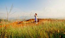 我漫步在田野里