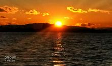 忍不住停下脚步