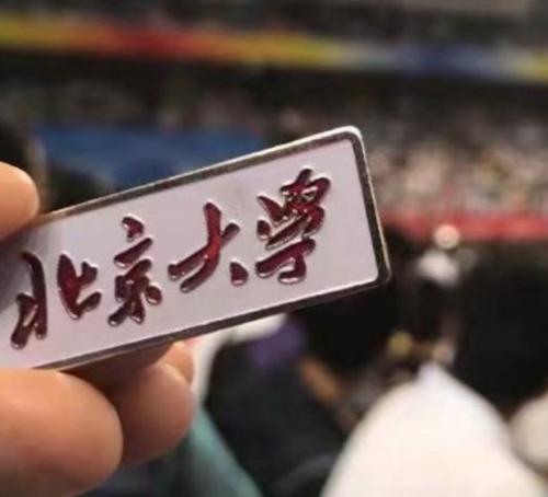 那时我学会了勤奋