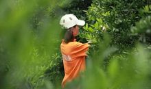 岁月浓稀，人情未变