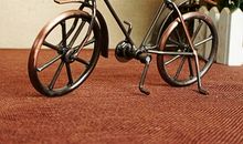 自行车模型成形记