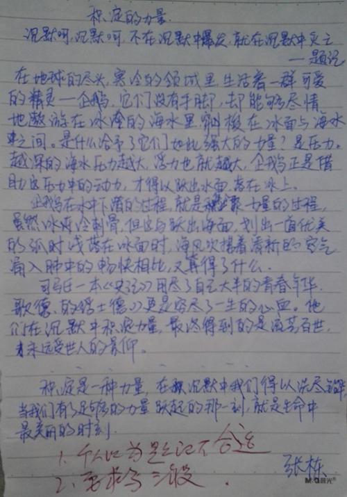 我的长寿水果是500字