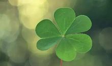 拥有一颗平常心