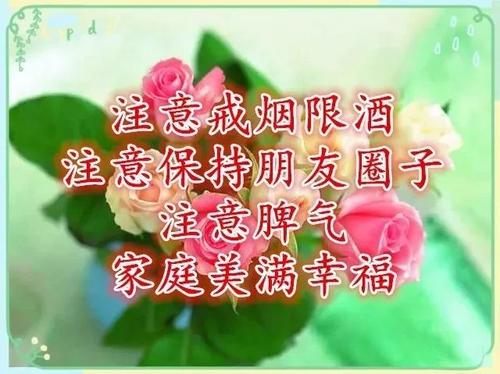 心中的一首歌