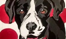 我想当一名小狗