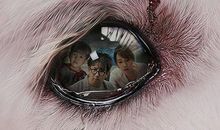 人心还是人芯？