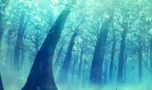 真情并不处处在