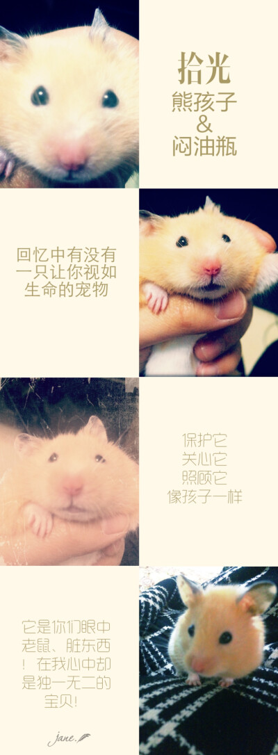 像一个小仓鼠