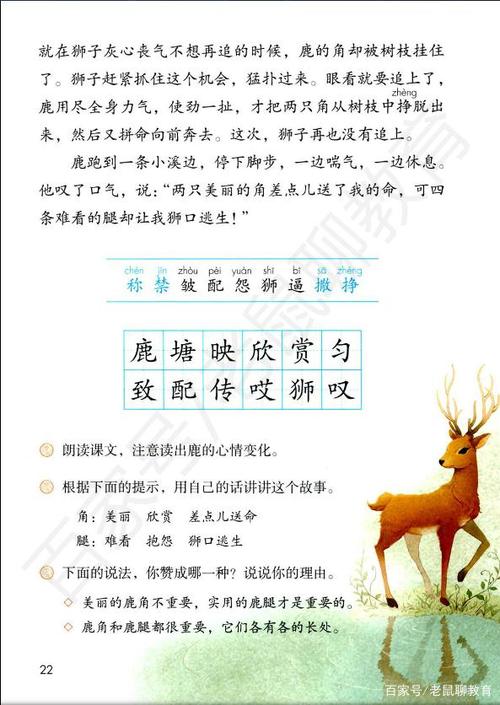 洞穴和鹿腿继续写