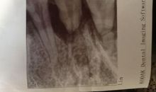 成长在感恩中萌发