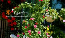 来自远方的电话