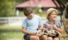 难忘的生活经历