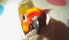 失而复得的快乐