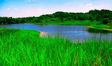 行走在青山绿水之间