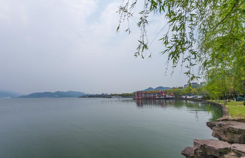 湖中的春天