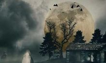 那一天我与温暖的爱相遇