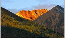 落日即景作文400字