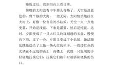 作文日落即景五年级