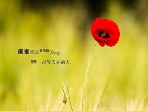 多年的温暖