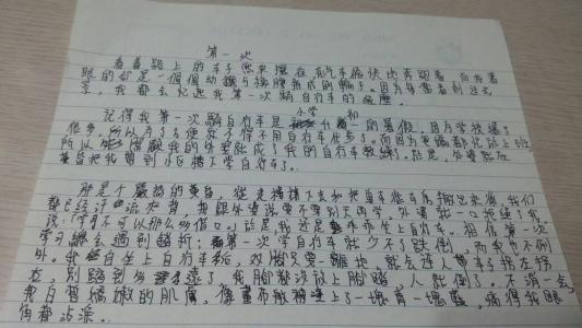 第一个循环组成400字