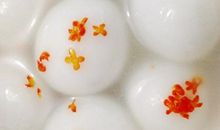 面对桂花汤圆我流泪了