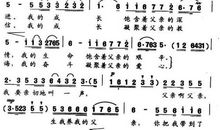 谢谢你我的爸爸