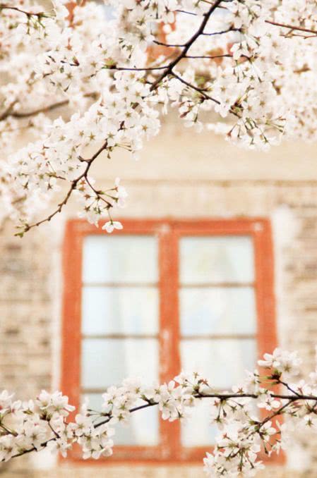 流行病学校