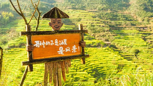 爱很难在心脏的心中开放 - 父母