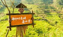 爱在心田口难开—致父母