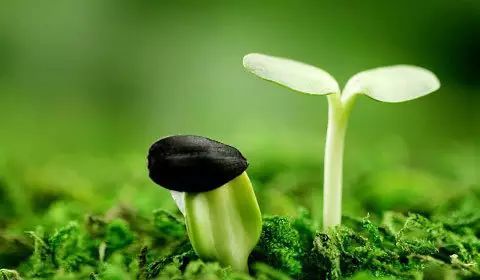 生活让我知道如何珍惜
